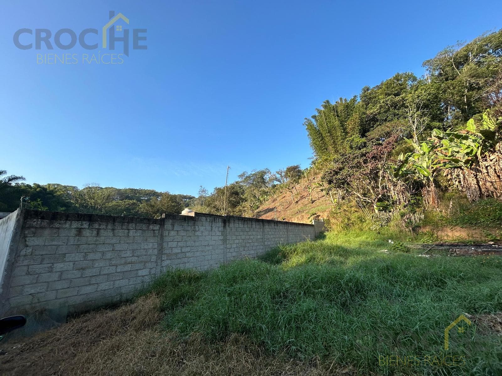 LAND FOR SALE IN THE CONSOLAPAN AREA, COATEPEC | 3,000 M2 ON THE ROAD TO CHOPANTLA