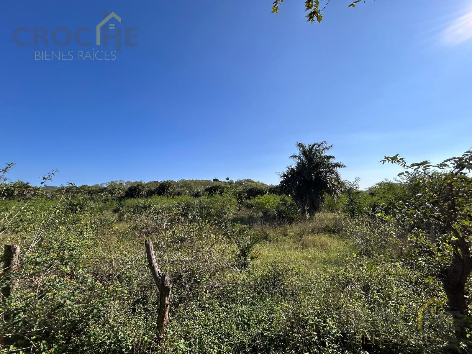 Land with Hot Springs for Sale in Los Baños, Veracruz