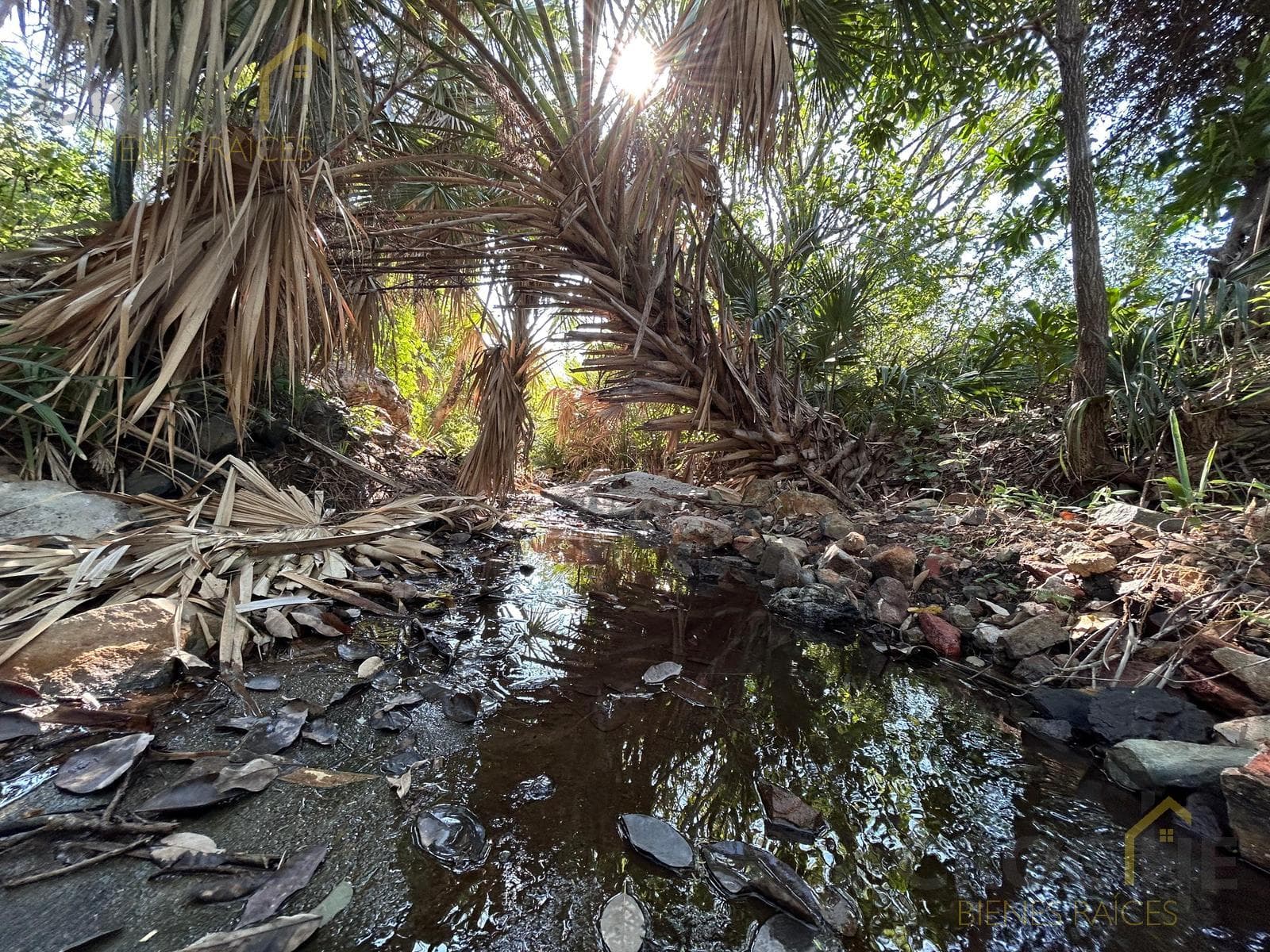Land with Hot Springs for Sale in Los Baños, Veracruz