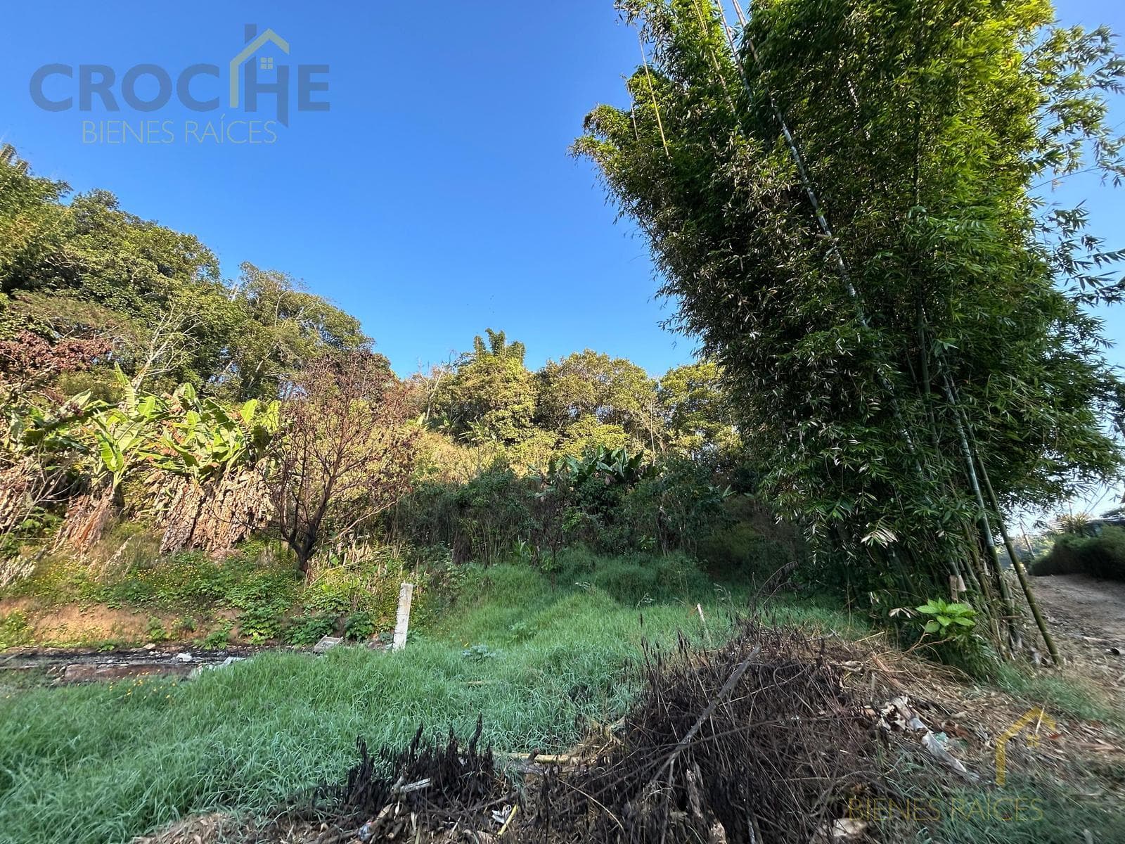 Land with Hot Springs for Sale in Los Baños, Veracruz