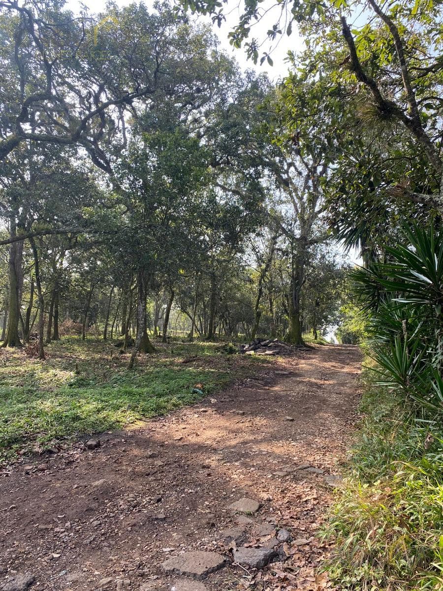 Land for Sale in Xalapa, Mártires de Chicago Neighborhood, near the Santa Rosa Neighborhood