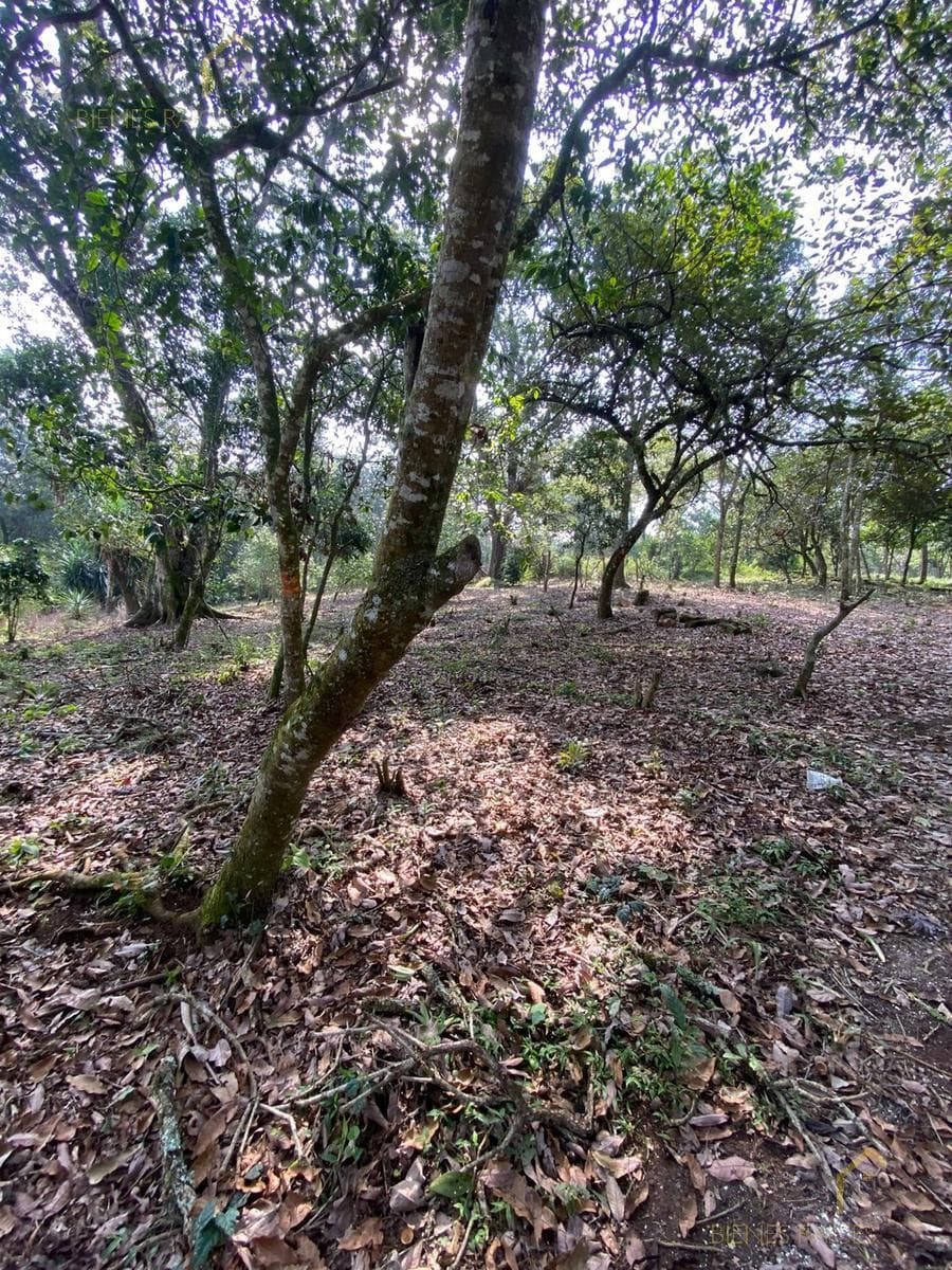 Land for Sale in Xalapa, Mártires de Chicago Neighborhood, near the Santa Rosa Neighborhood