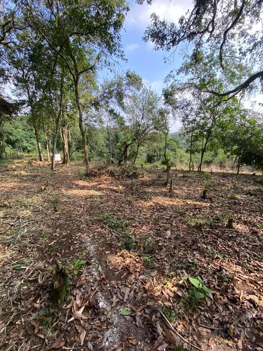 Land for Sale in Xalapa, Mártires de Chicago Neighborhood, near the Santa Rosa Neighborhood