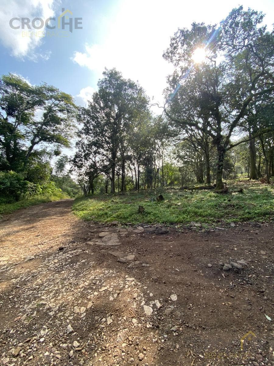 Land for Sale in Xalapa, Mártires de Chicago Neighborhood, near the Santa Rosa Neighborhood