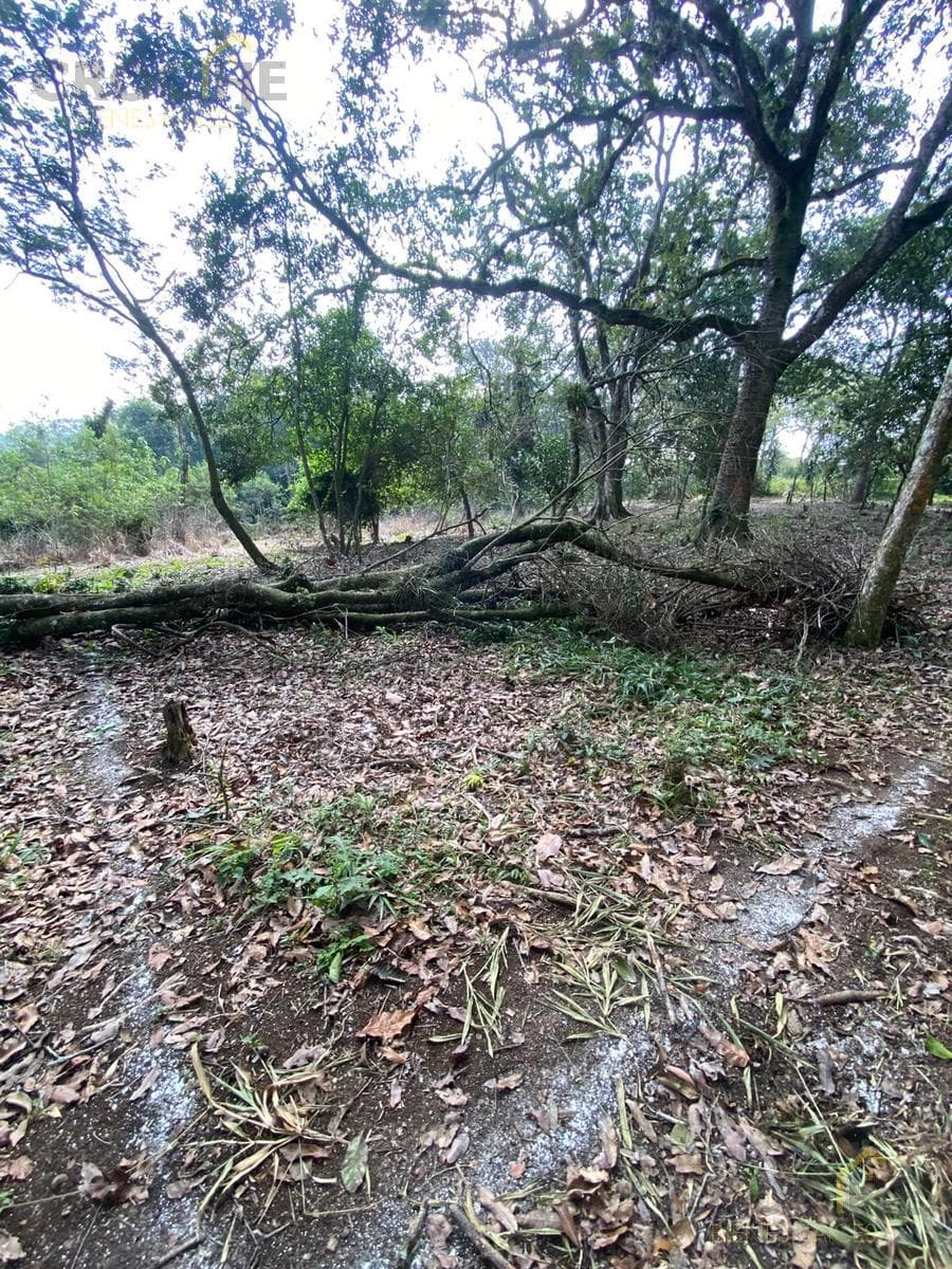 Land for Sale in Xalapa, Mártires de Chicago Neighborhood, near the Santa Rosa Neighborhood