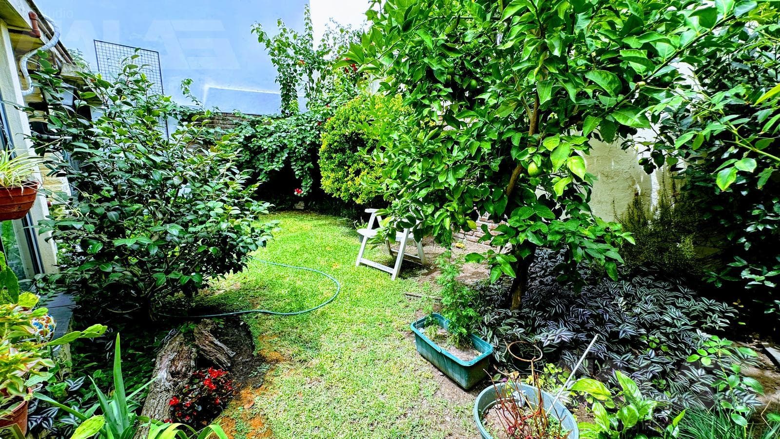 A unique opportunity in Morón: a solid 4-bedroom house with a porch and parking spaces; option to purchase an adjacent lot