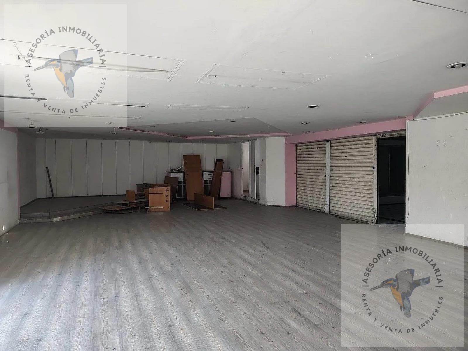 Wine Cellar for Sale: Izazaga, Downtown Mexico City