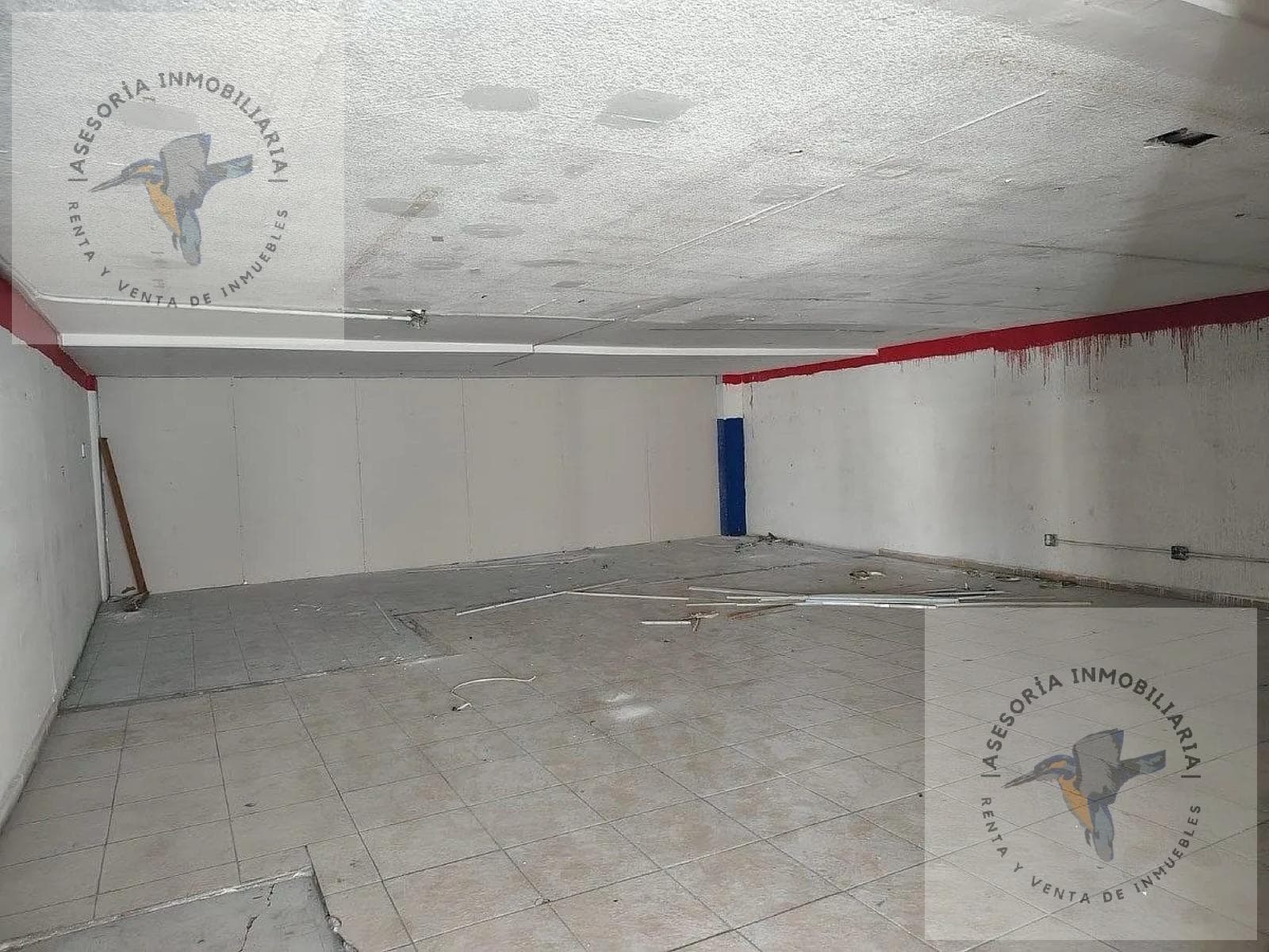 Wine Cellar for Sale: Izazaga, Downtown Mexico City