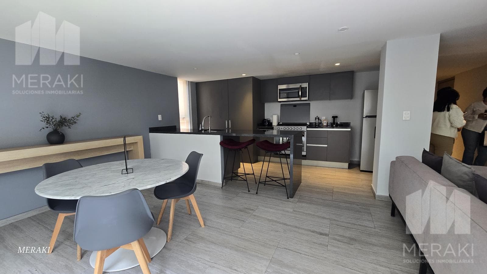 Furnished Apartment for Rent in Polanco