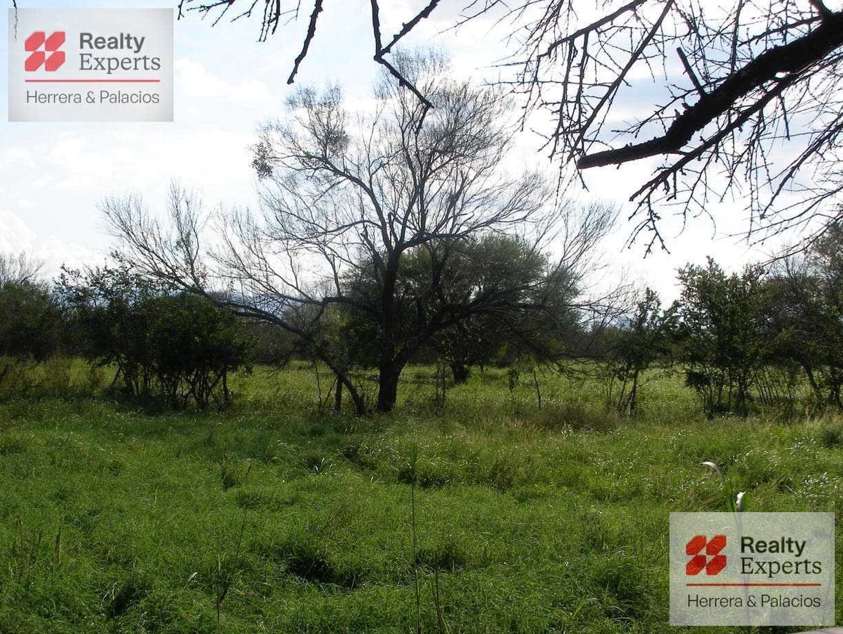 LAND FOR SALE IN SABINAS, HIDALGO, NUEVO LEÓN, ON THE MONTERREY-NUEVO LAREDO UNPAVED HIGHWAY