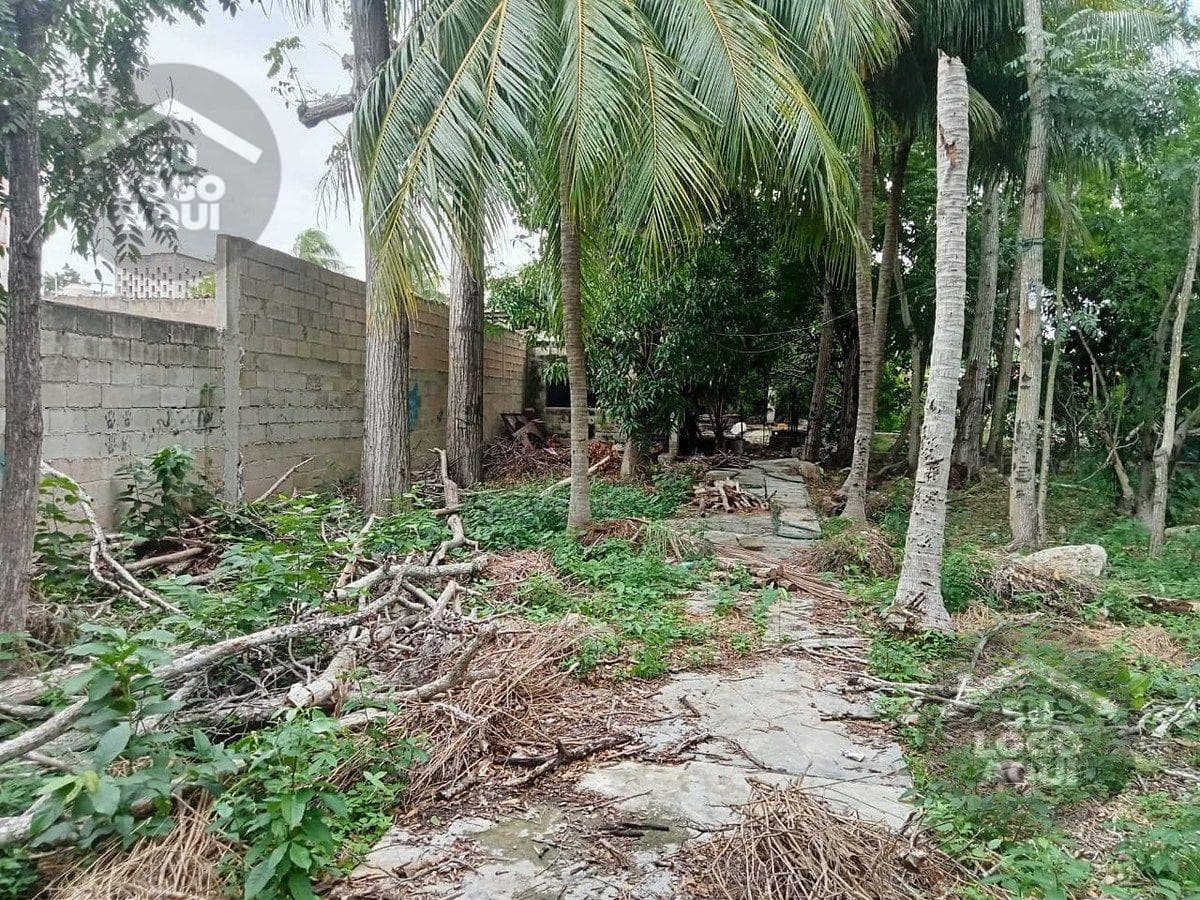 house to renovate or for commercial use