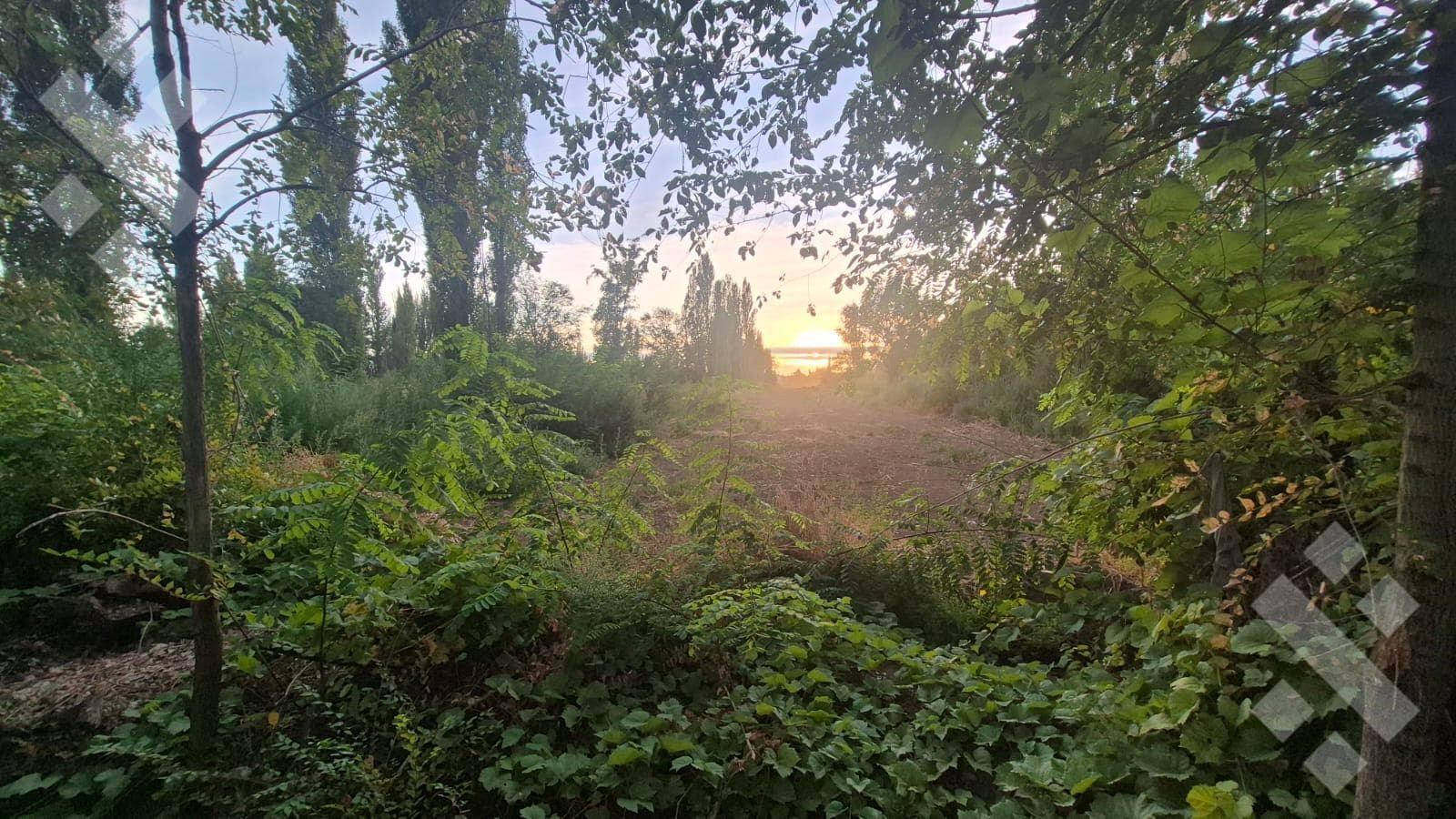 Land in Confluencia