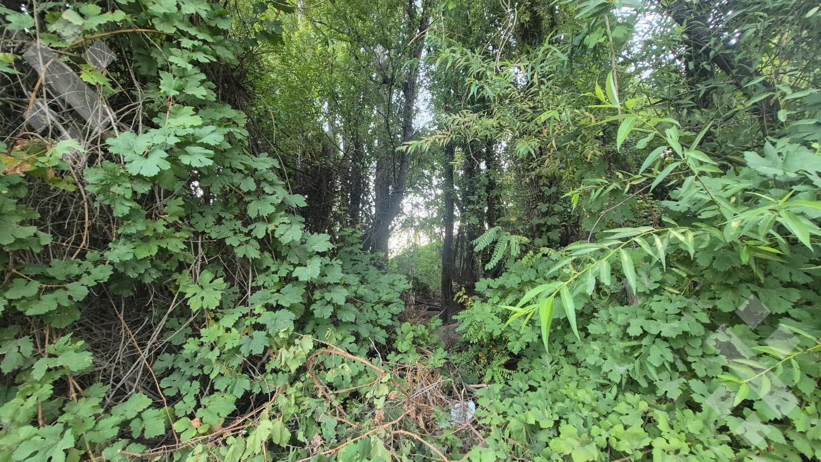 Land in Confluencia