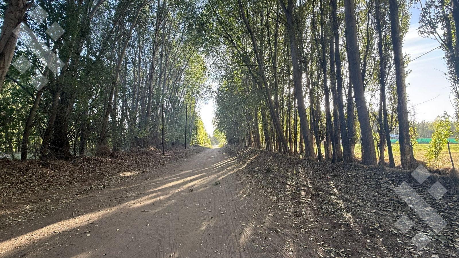 For Sale | 5,220 m² Lot | China Muerta | Plottier