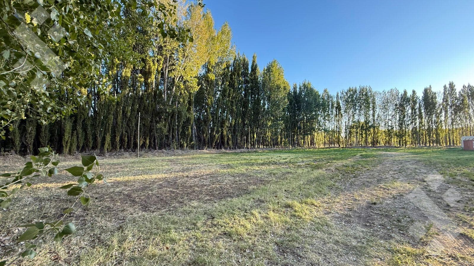 For Sale | 5,220 m² Lot | China Muerta | Plottier