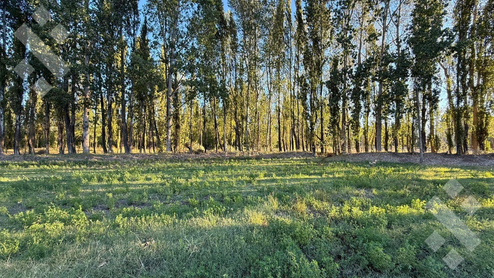 For Sale | 5,220 m² Lot | China Muerta | Plottier