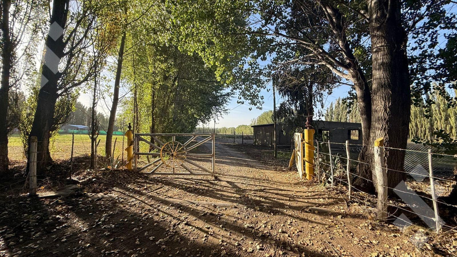 For Sale | 5,220 m² Lot | China Muerta | Plottier