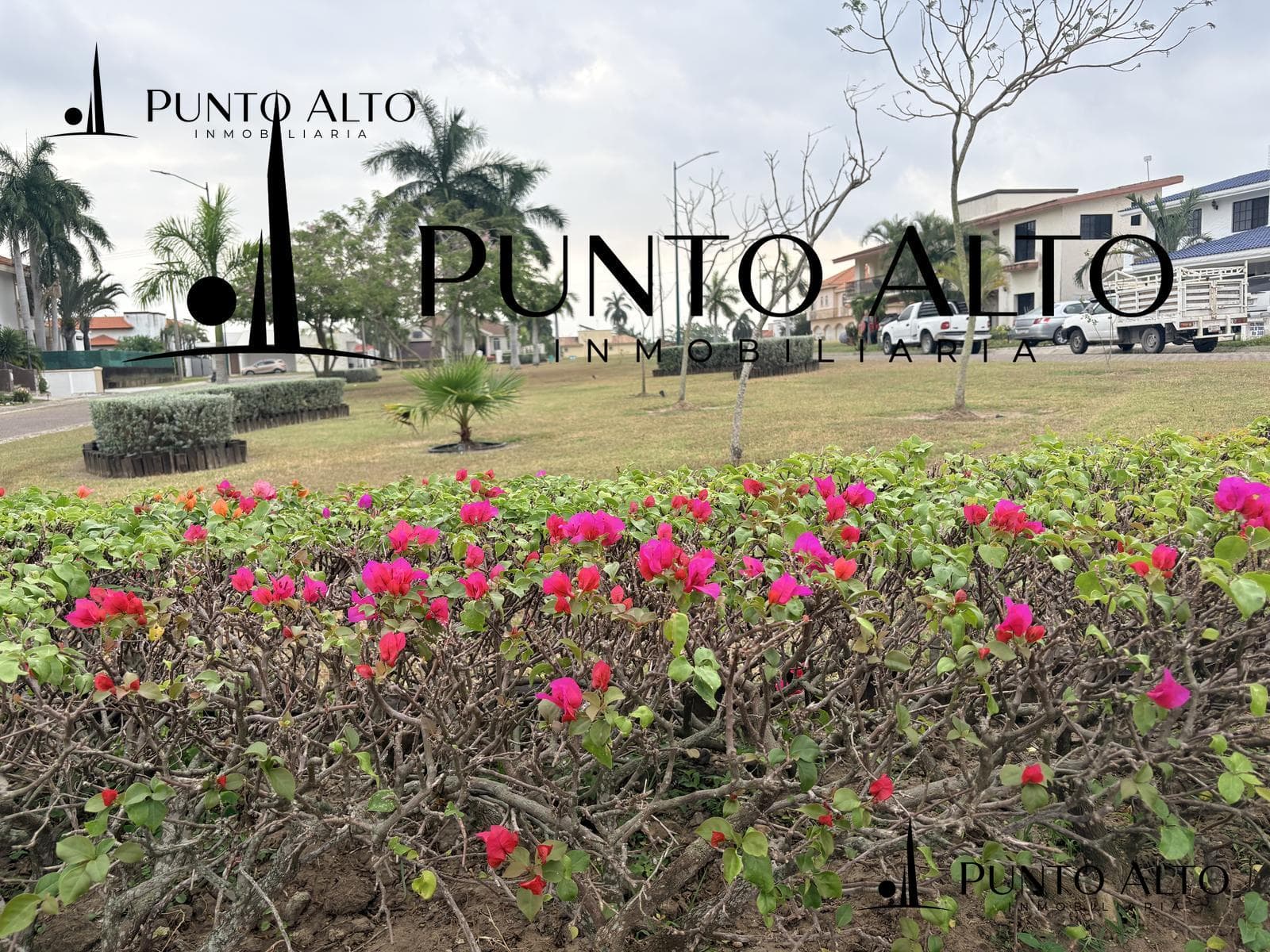 House in the Lagunas de Miralta Subdivision for rent and for sale, with a view of the golf course