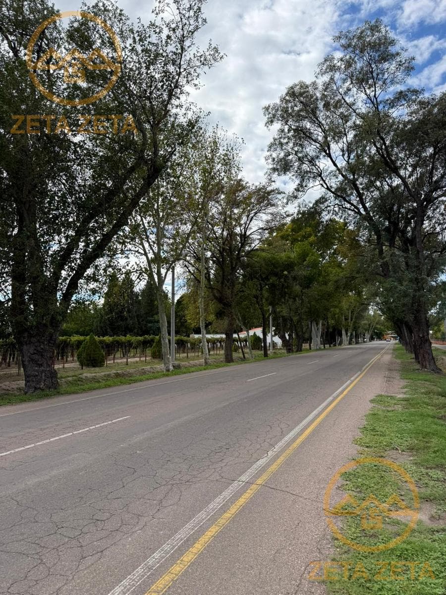 Land in General Alvear