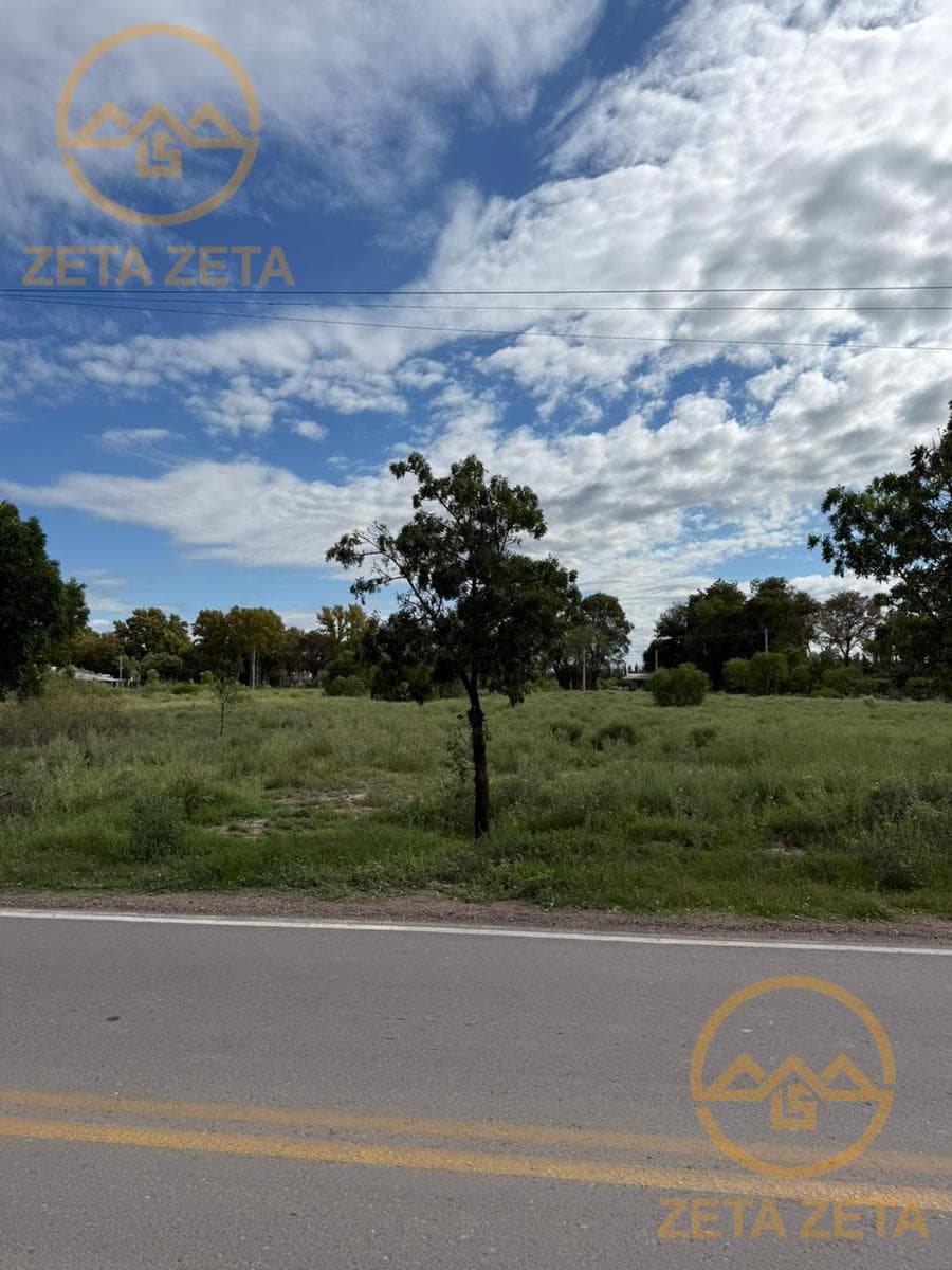 Land in General Alvear