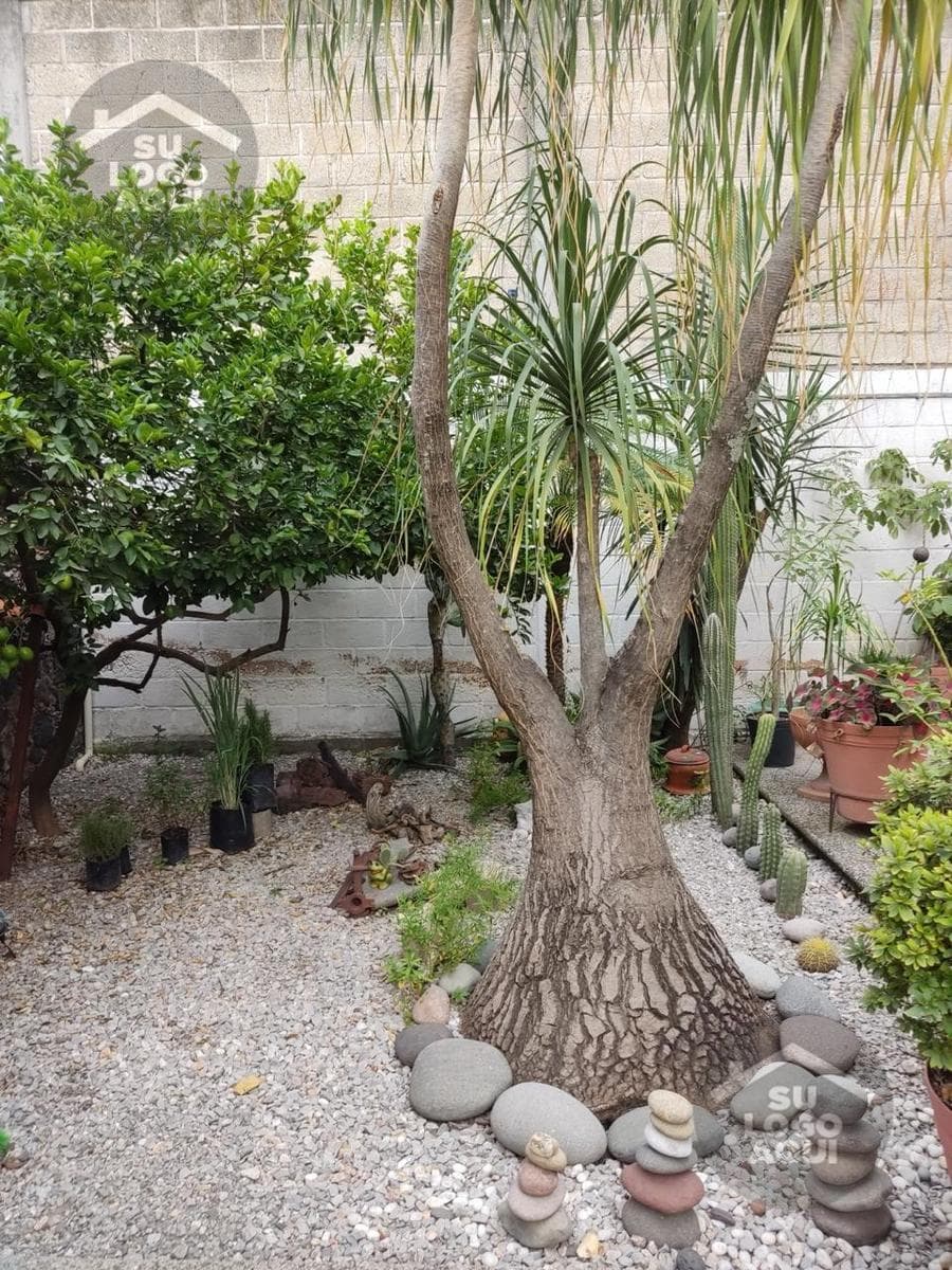Beautiful house for SALE in Tetecolala, Morelos