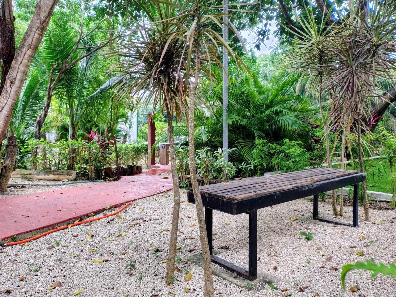 4-Bedroom Penthouse for Sale in Puerto Morelos | With a Spacious Terrace | C4125