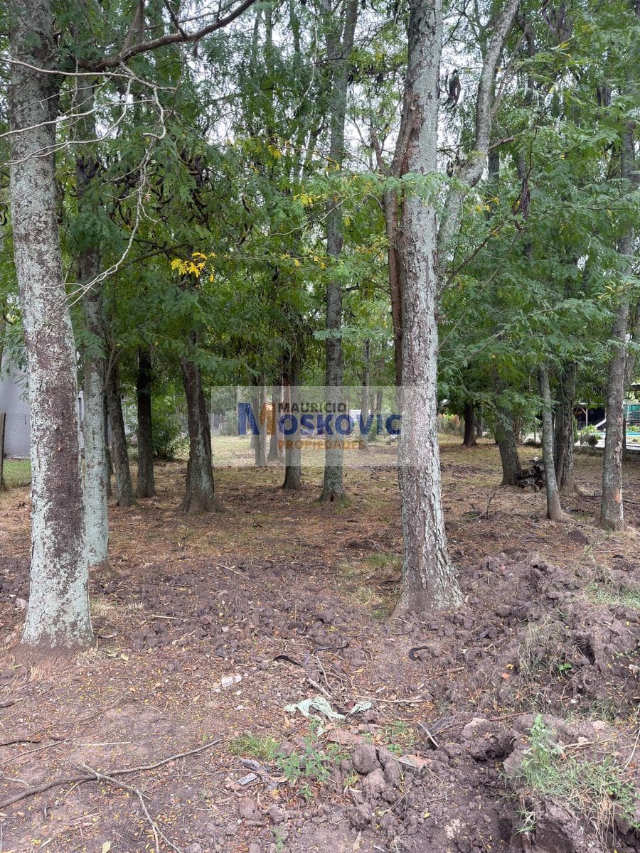 Land in La Reja - Lot for sale - 1,160 m²