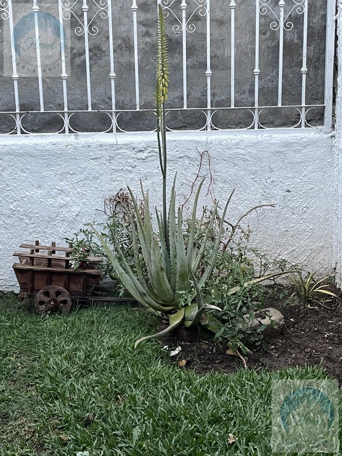 House in La Estancia for Sale