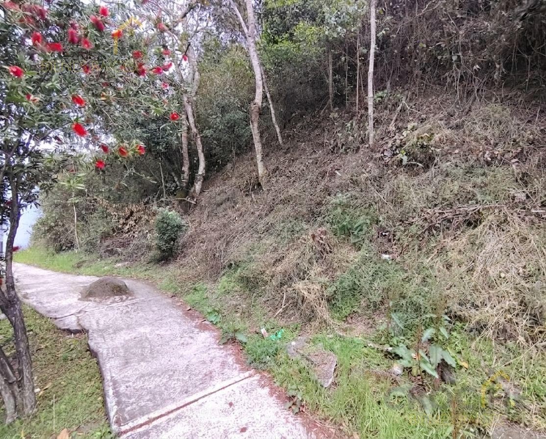 LAND FOR SALE ON AV. ARCO SUR, CABEZA OLMECA AREA, XALAPA, VERACRUZ