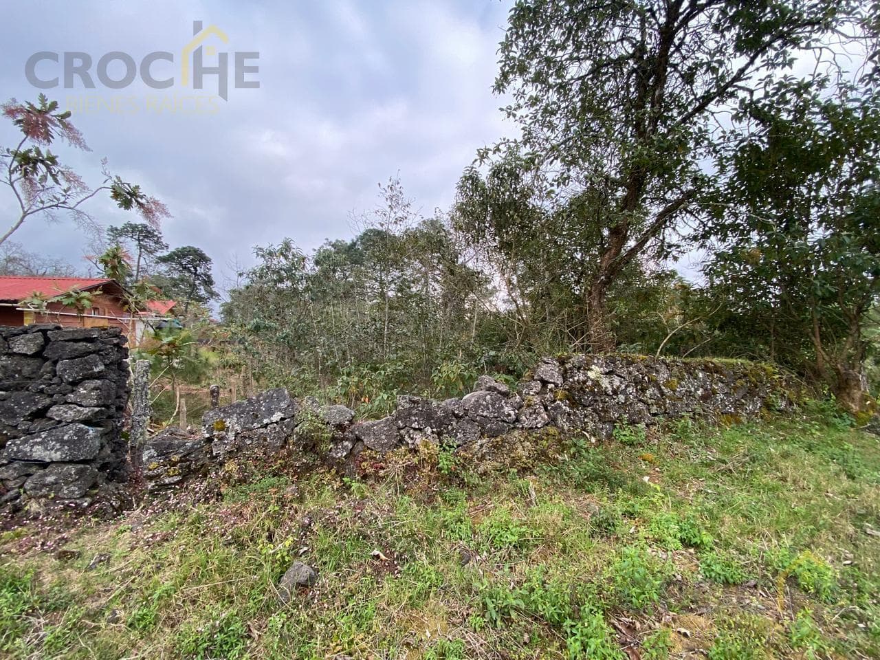 RURAL LAND FOR SALE IN THE SAN JOSE TLACOLULAN AREA, VERACRUZ