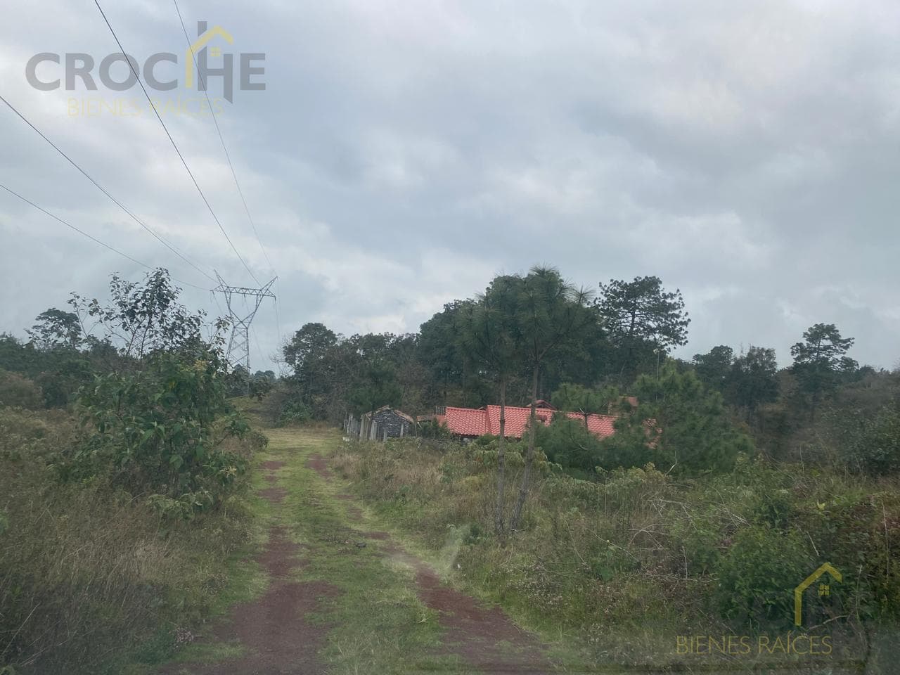 RURAL LAND FOR SALE IN THE SAN JOSE TLACOLULAN AREA, VERACRUZ