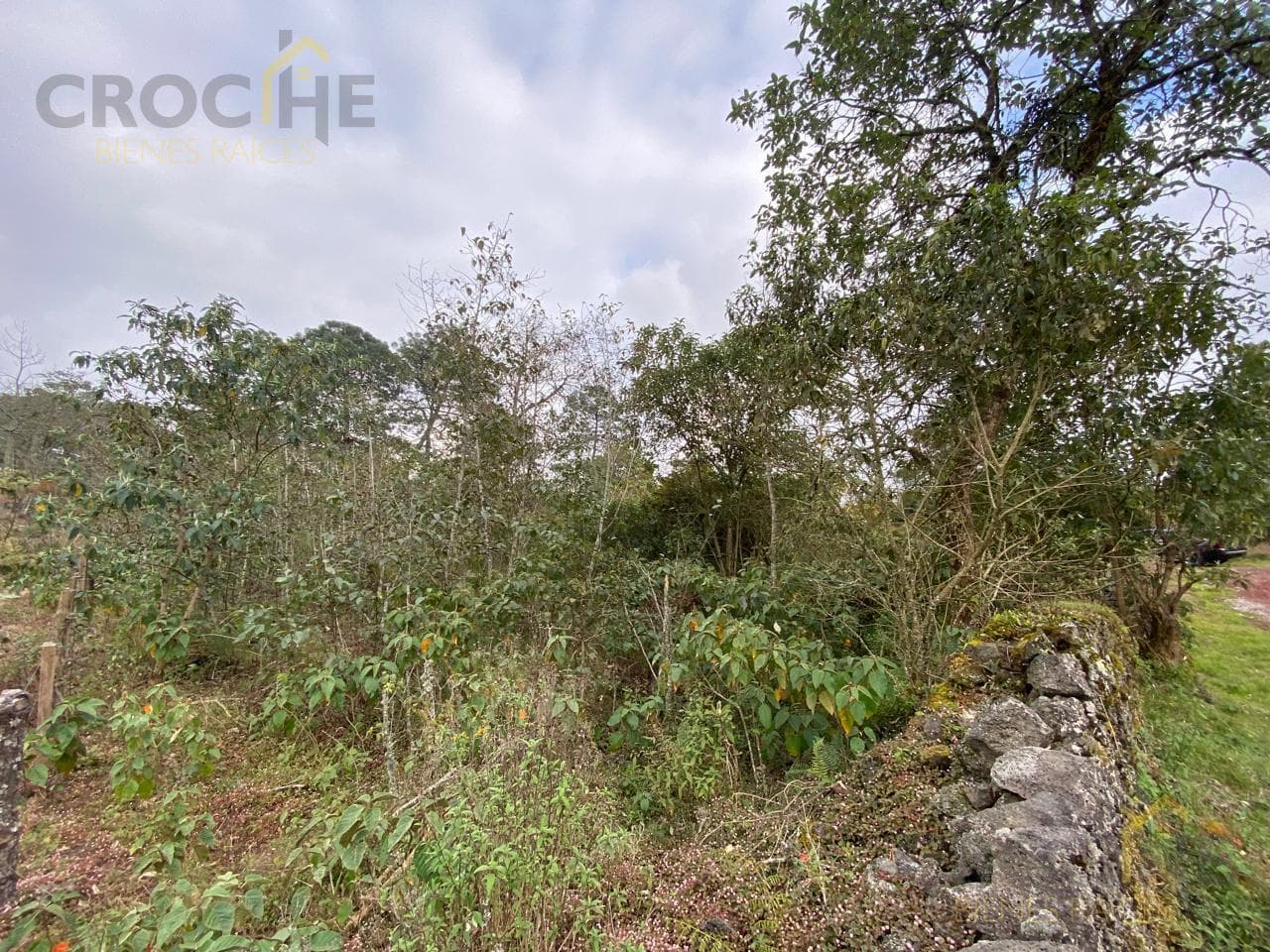 RURAL LAND FOR SALE IN THE SAN JOSE TLACOLULAN AREA, VERACRUZ