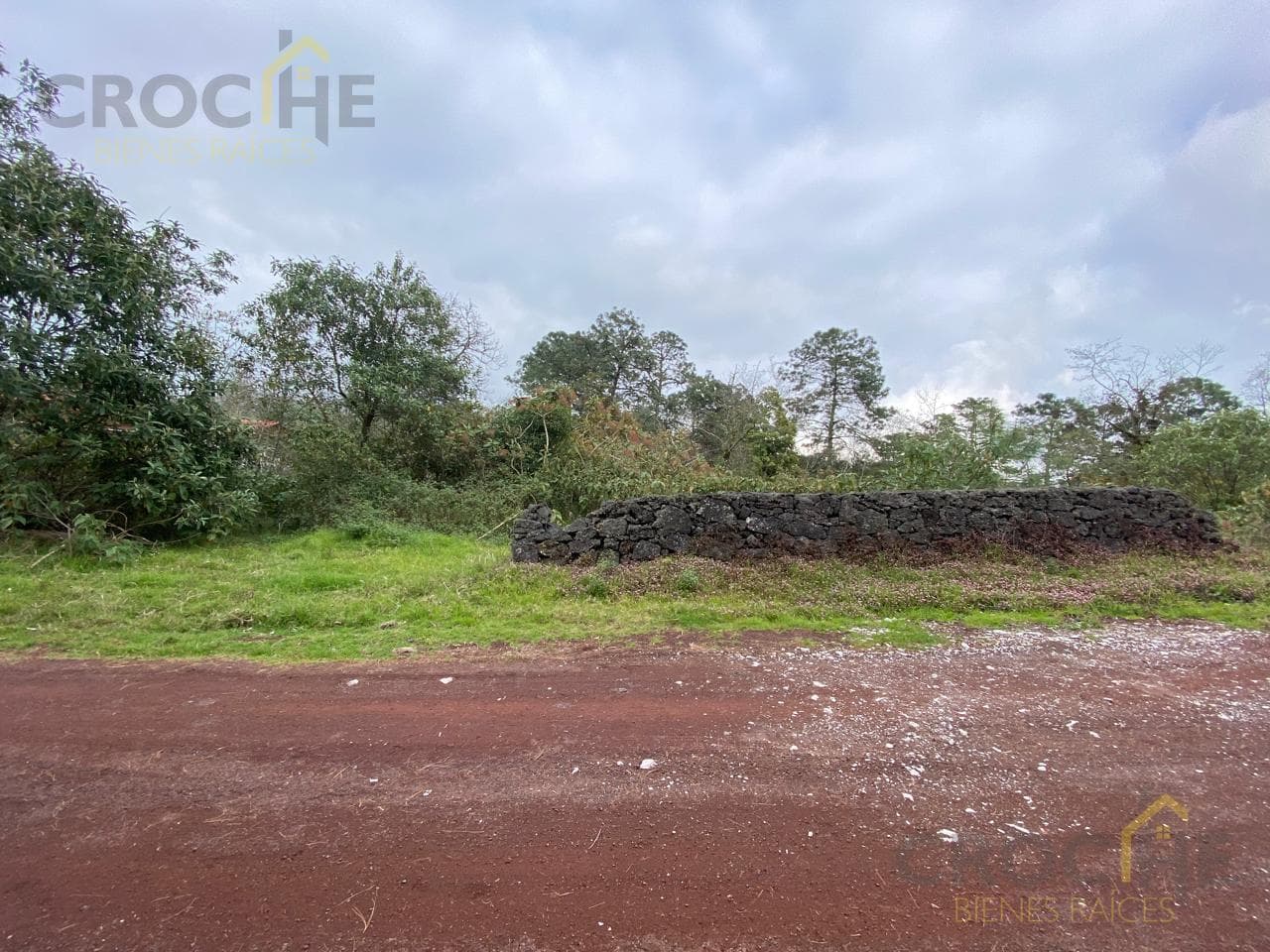 RURAL LAND FOR SALE IN THE SAN JOSE TLACOLULAN AREA, VERACRUZ