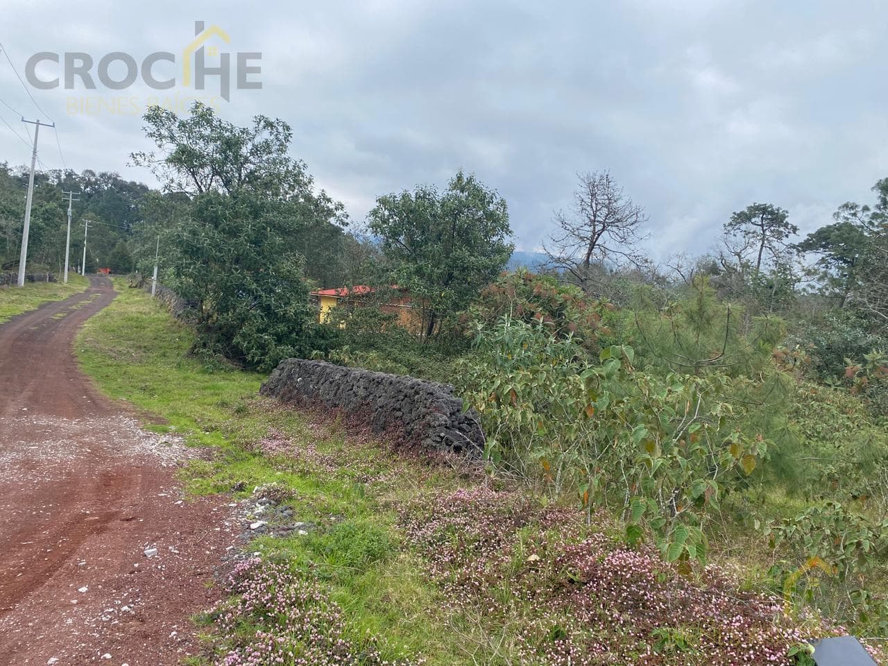 RURAL LAND FOR SALE IN THE SAN JOSE TLACOLULAN AREA, VERACRUZ