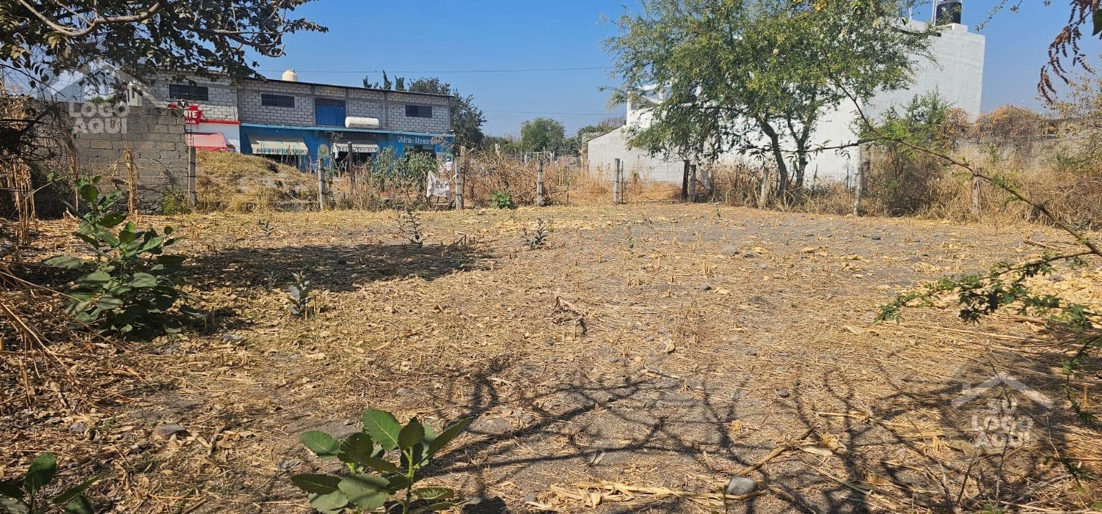 FOR SALE: 200 meters of land just a few steps from the Cuernavaca Airport
