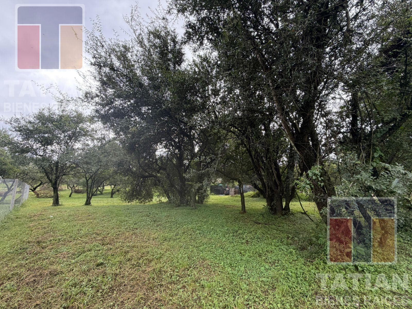1,243-meter lot for sale with many trees
