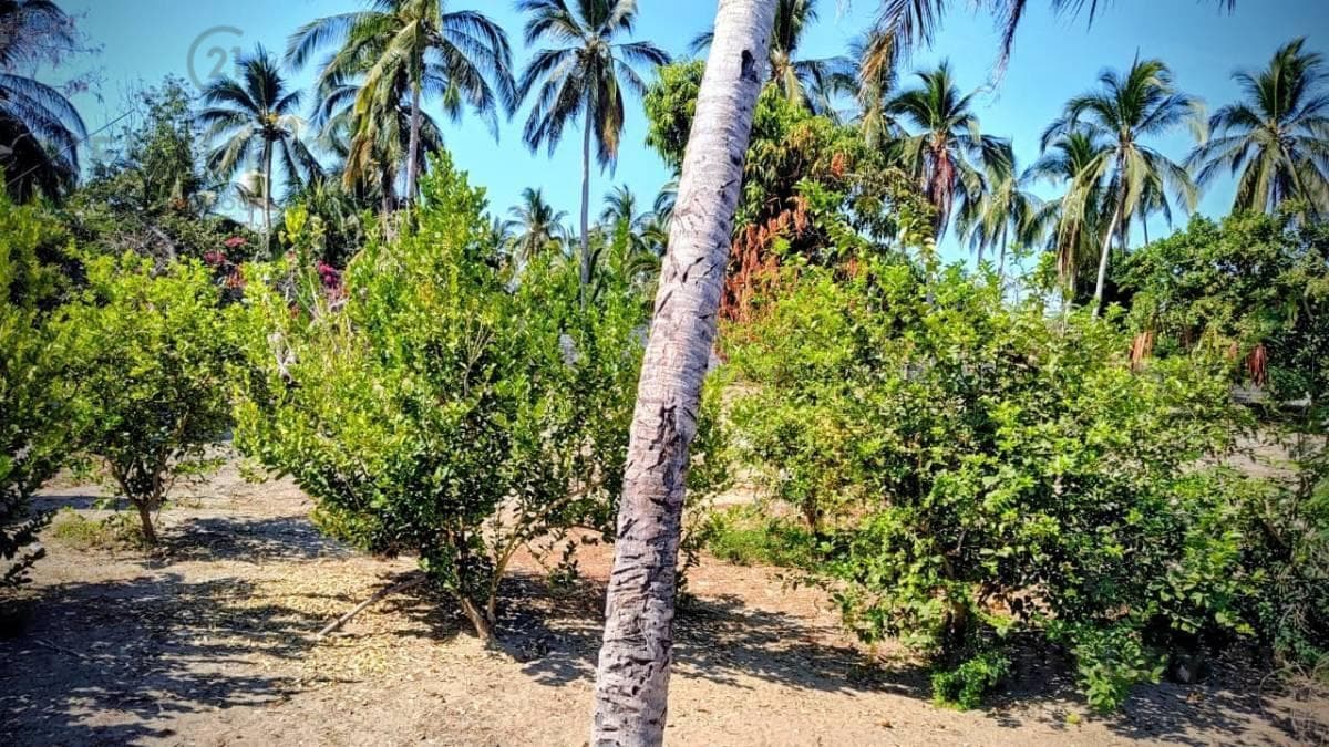 Residential Lot for Sale in Luces en el Mar, Coyuca de Benitez