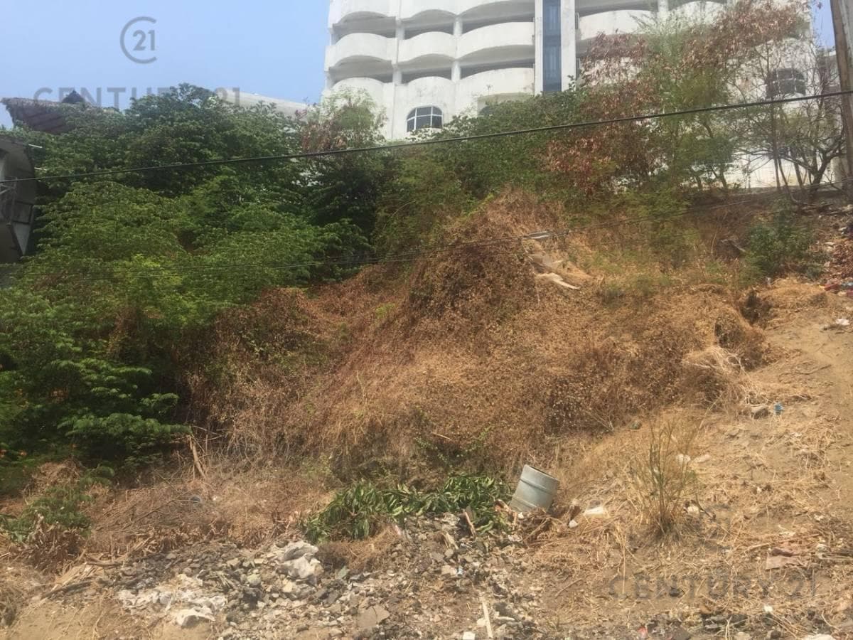 Land for Sale with High Potential in the Hornos Subdivision, Acapulco