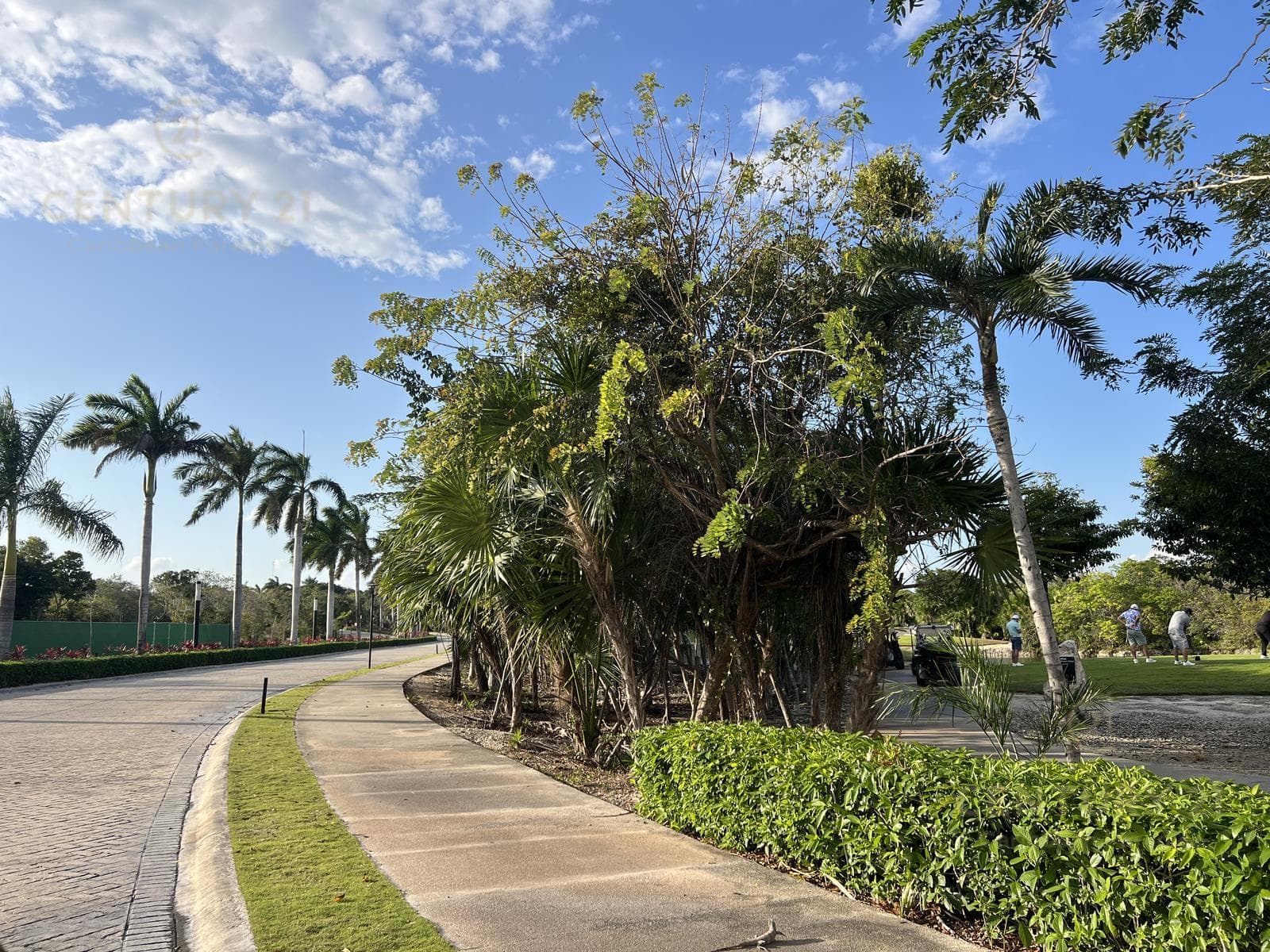 991 m² Premium Lot for Sale Adjacent to the PGA Tulum Country Club Golf Course | Riviera Maya P4560