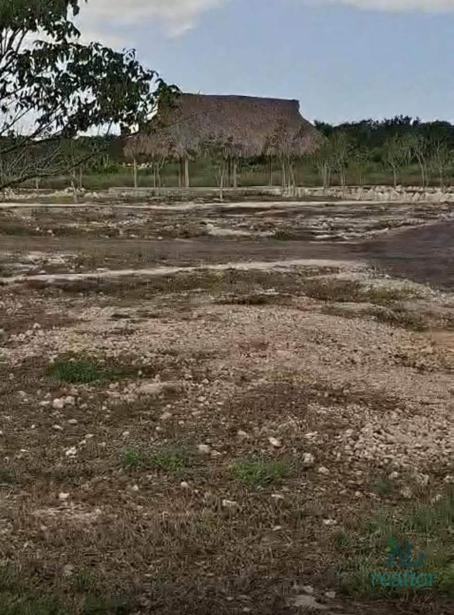 Beachfront Land in Yucatán | Invest Today in an Area with High Appreciation Potential