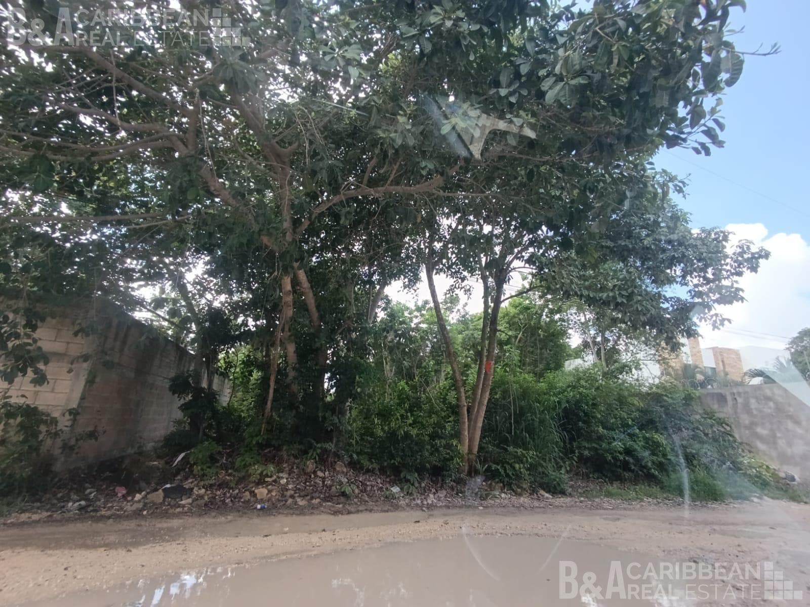 Land for Sale, Mixed-Use, Av. Fonatur