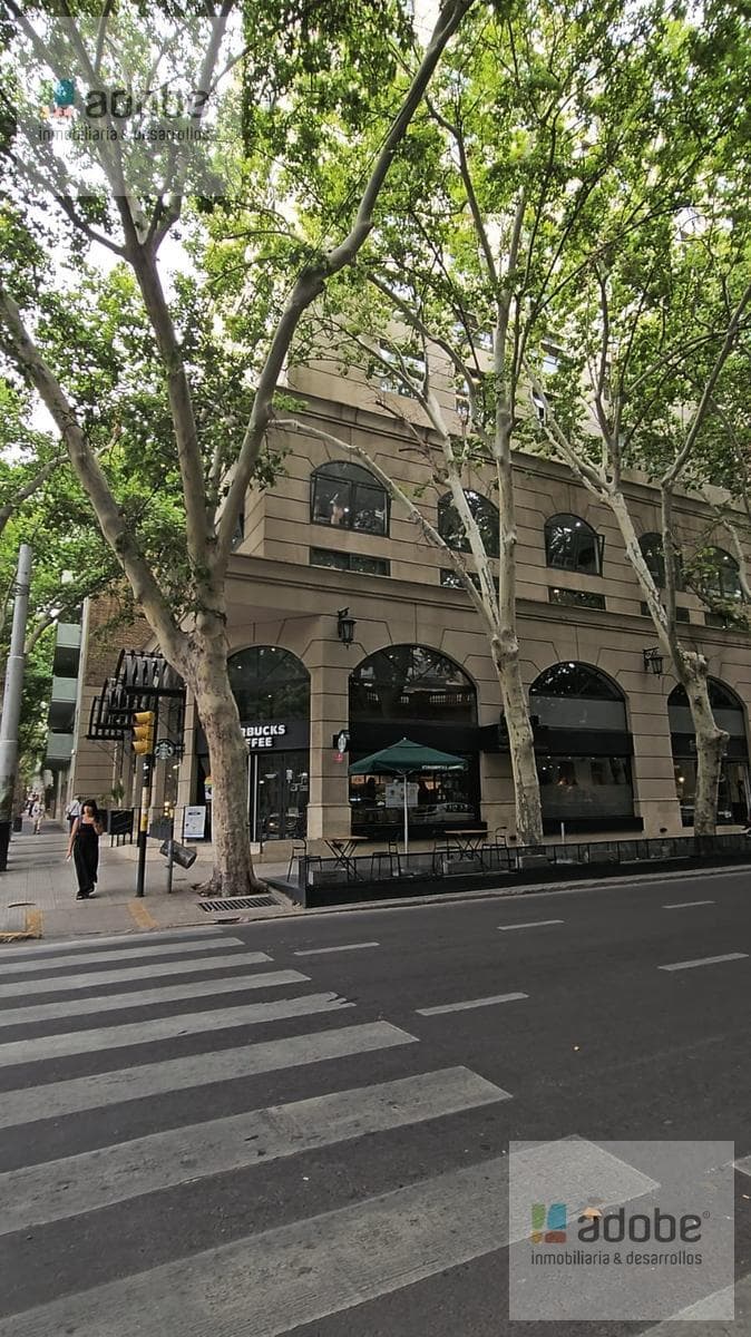 Office for Rent in the "Teh Plaza" Building Across from Plaza España
