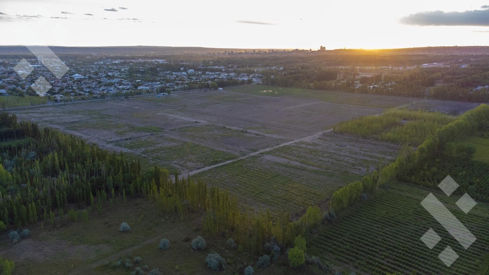 Land for Sale in La Gran Alameda Neighborhood, Cipolletti