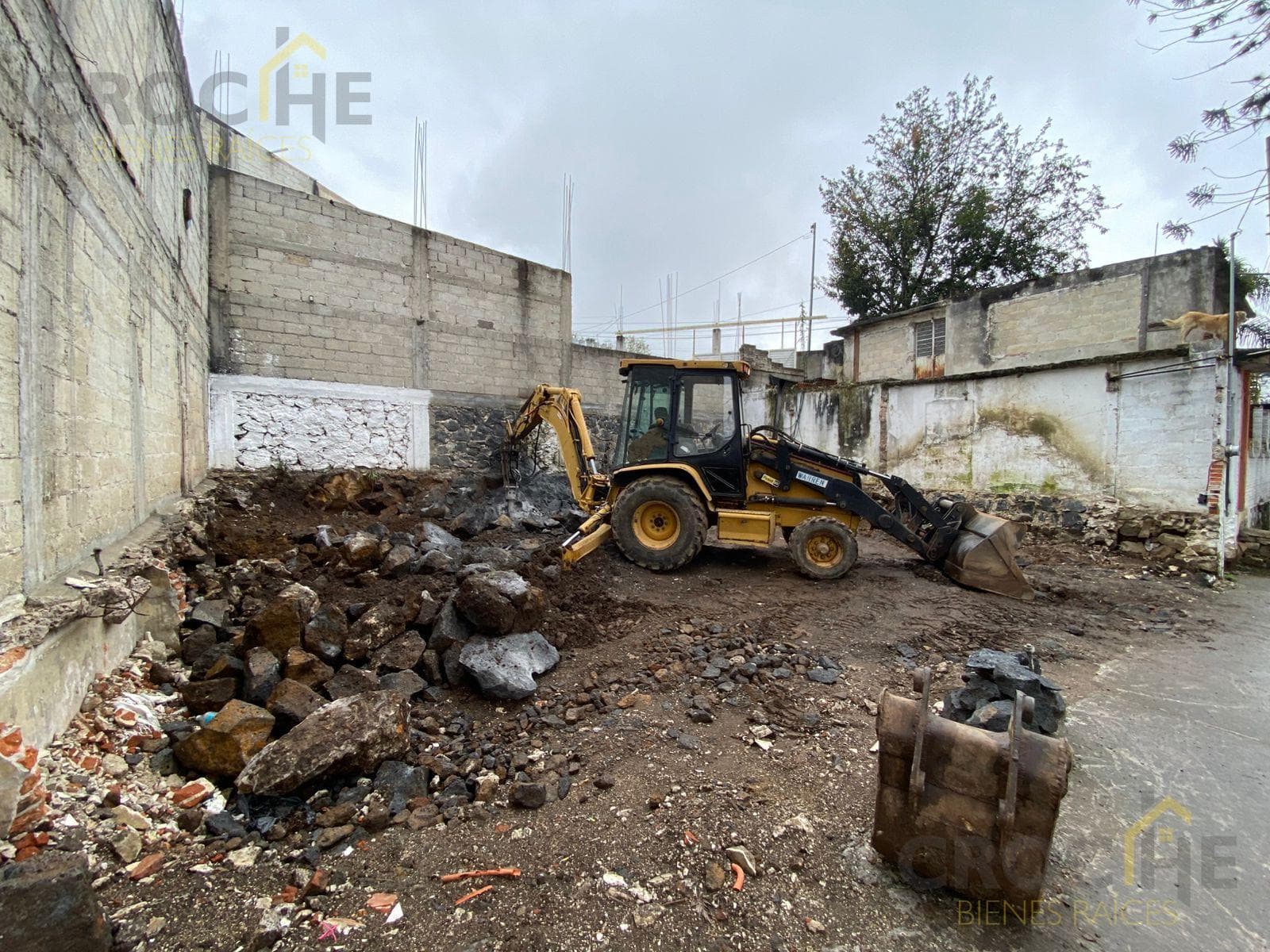 LAND FOR RENT IN THE 21 DE MARZO NEIGHBORHOOD, XALAPA, VERACRUZ