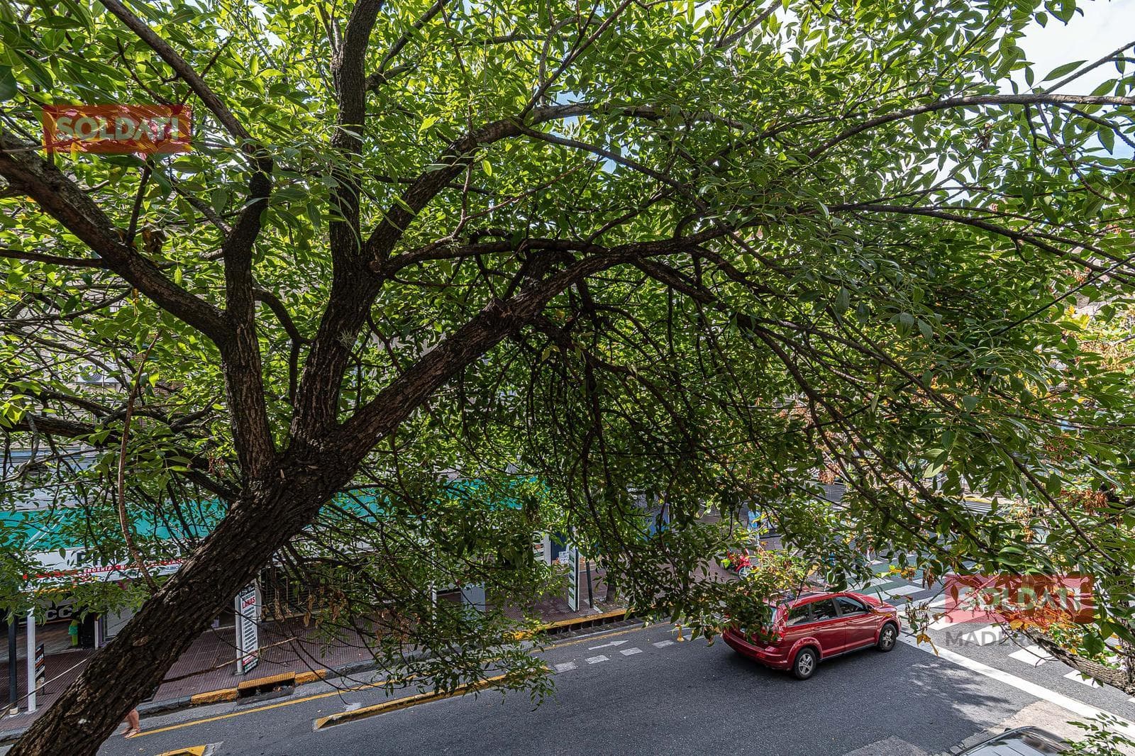 PH in Parque Patricios: Separate Entrance, Patio and Grill, 5 Rooms, NO MAINTENANCE FEES