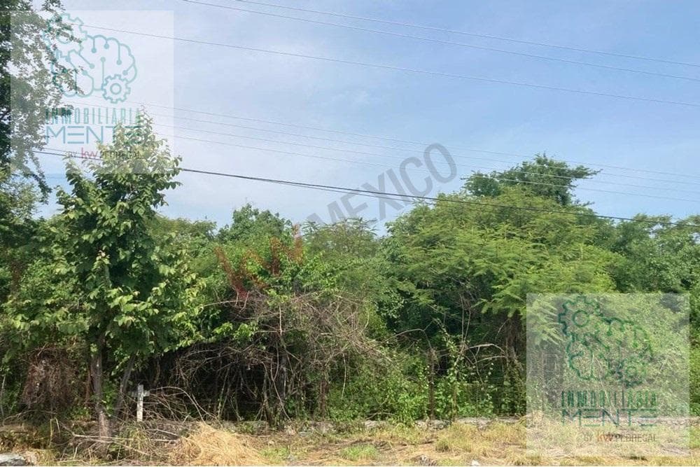 Land for Sale in Alpuyeca, Morelos, Km 2 on the Cuernavaca–Grutas de Cacahuamilpa Highway