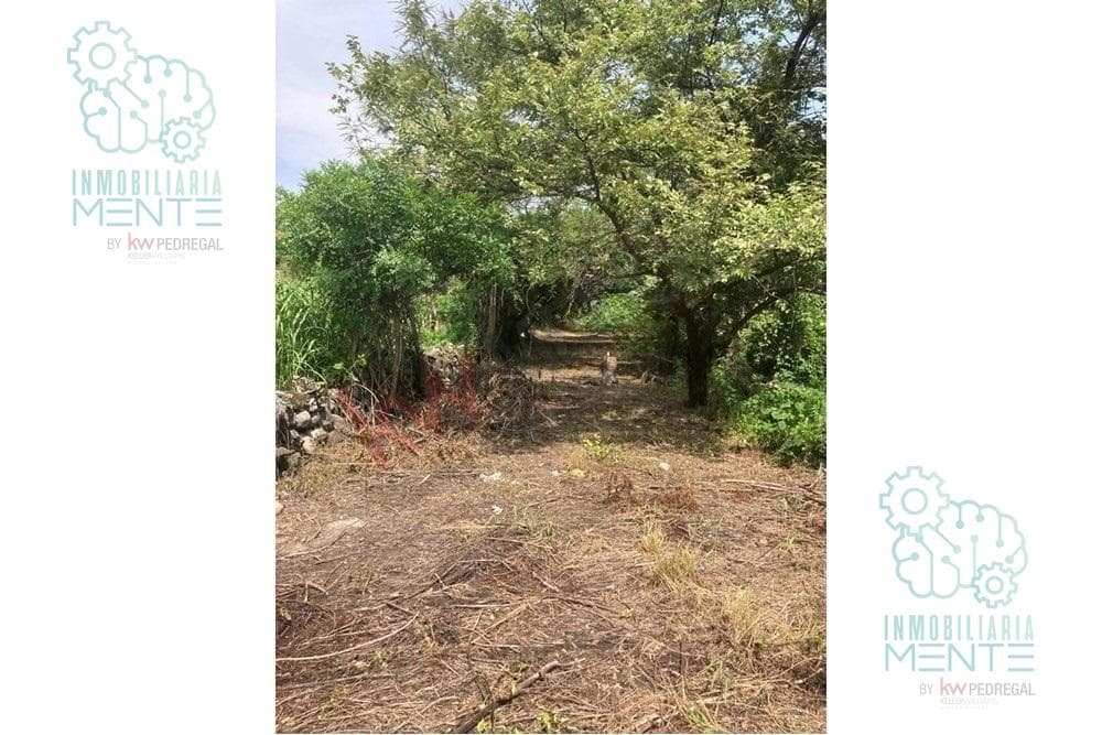 Land for Sale in Alpuyeca, Morelos, Km 2 on the Cuernavaca–Grutas de Cacahuamilpa Highway