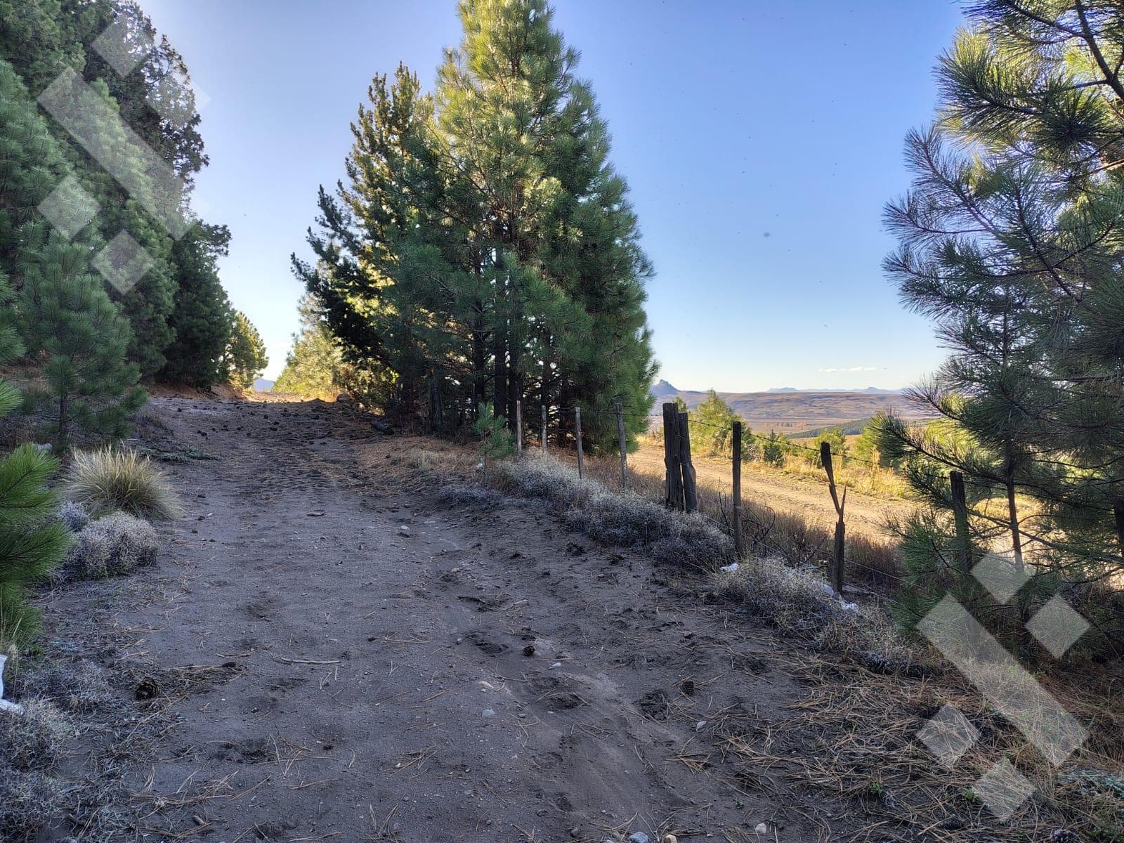 900 m² Lot for Sale - El Remanso Gated Community - San Martín de los Andes