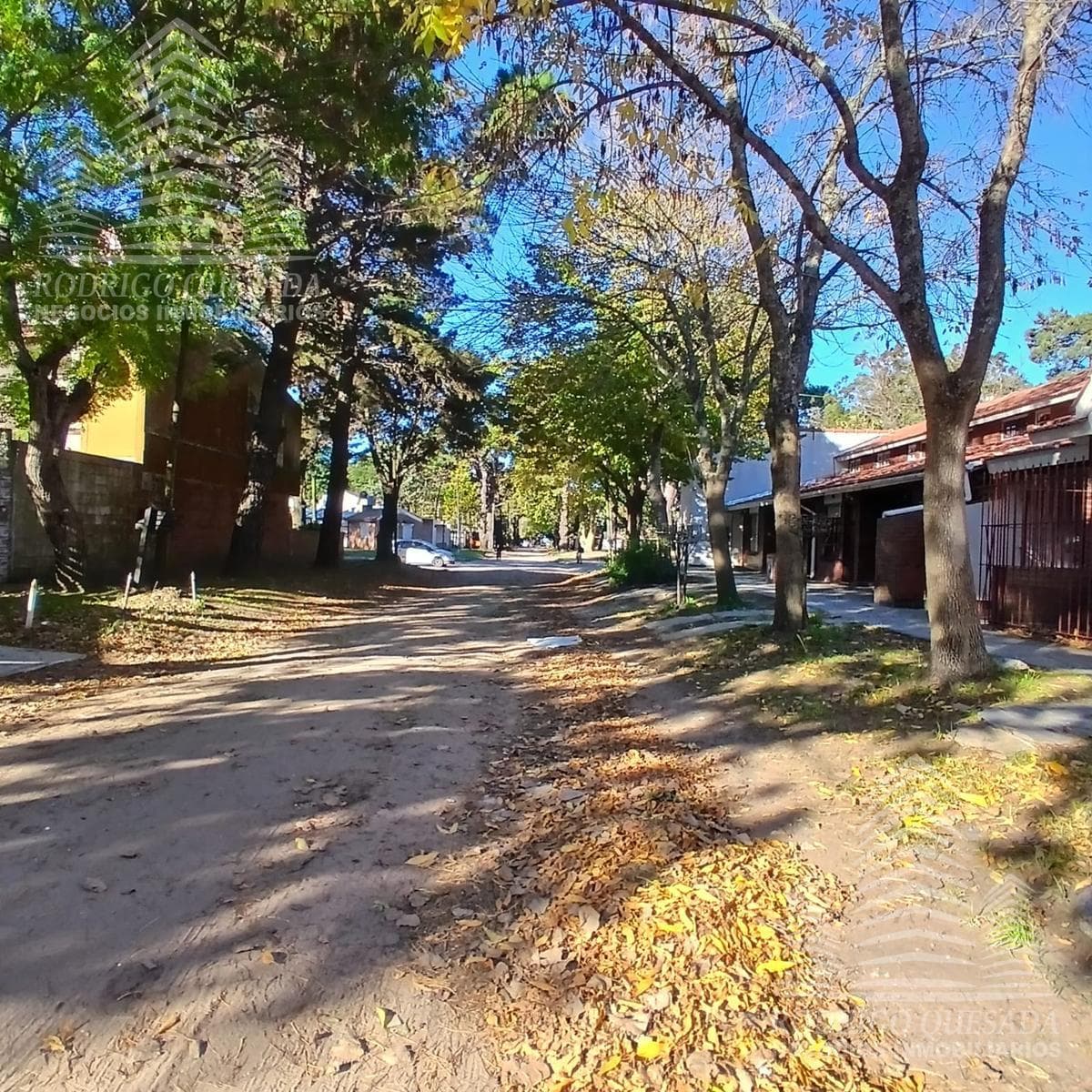 TRIPLEX |SAN BERNARDO| |CONTRAFRENTE|