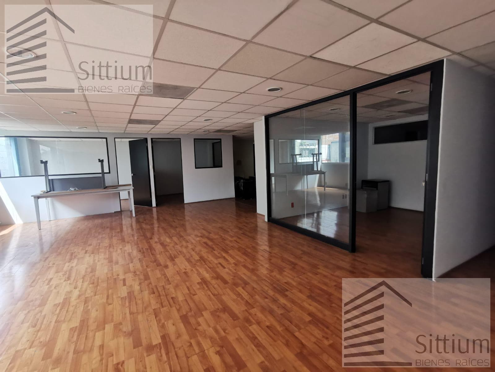 Office for Rent - Anzures - 223 m² - 5th Floor